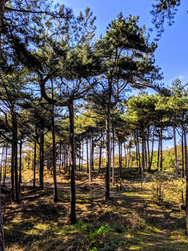 MVIMG_20190421_144836