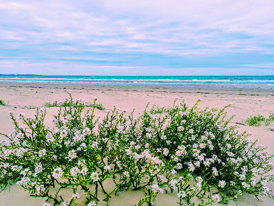 WALES COASTAL PATH // HARLECH TO BARMOUTH – 16.7 MILES