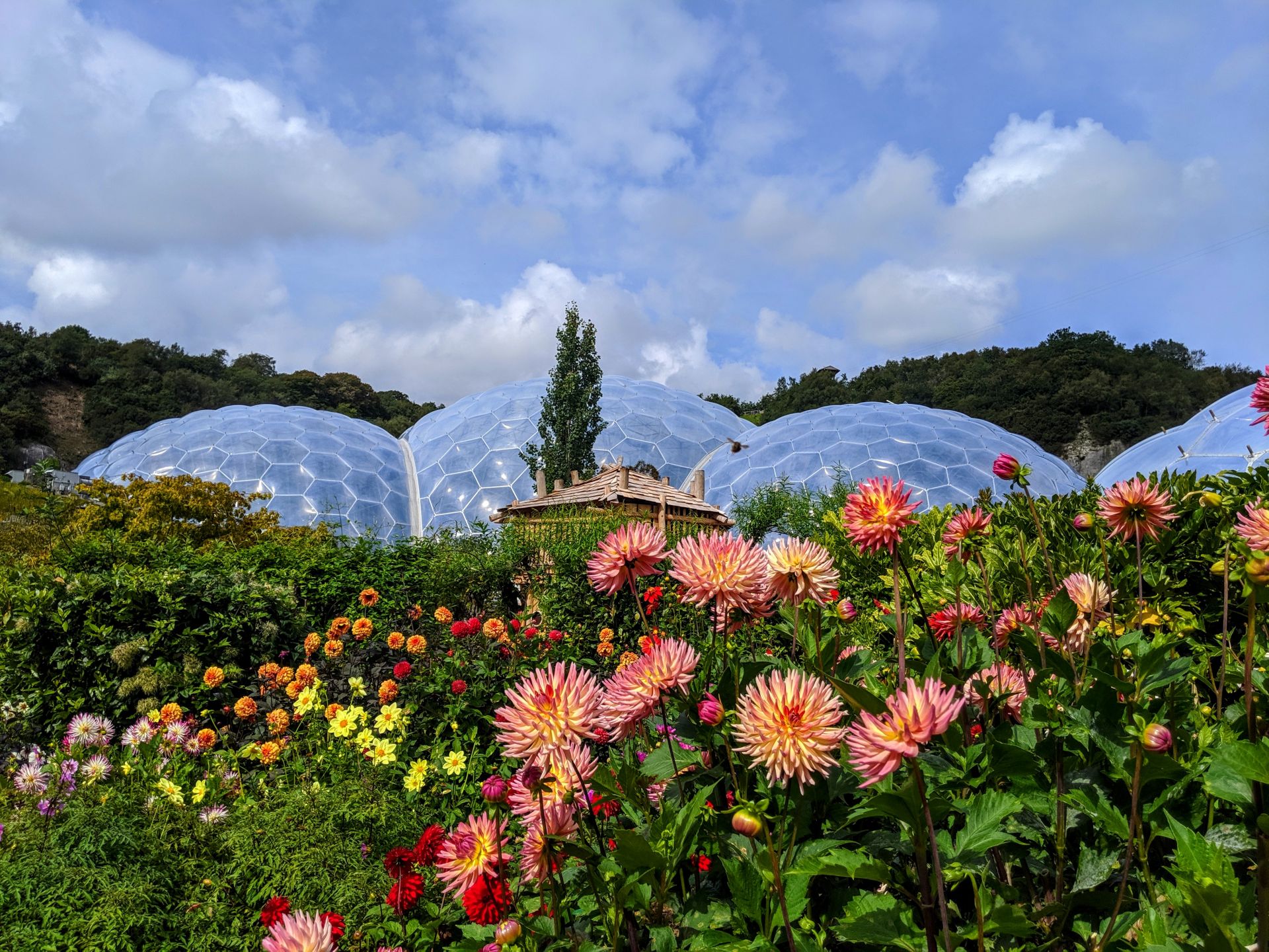 CORNWALL // EDEN PROJECT – PART TWO